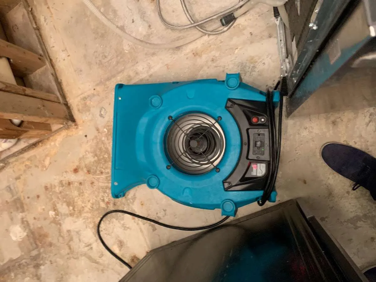 Air mover drying equipment for Mold Remediation & Removal in Canby